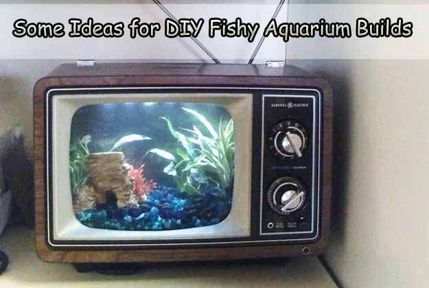 Some Ideas for DIY Fishy Aquarium Builds
