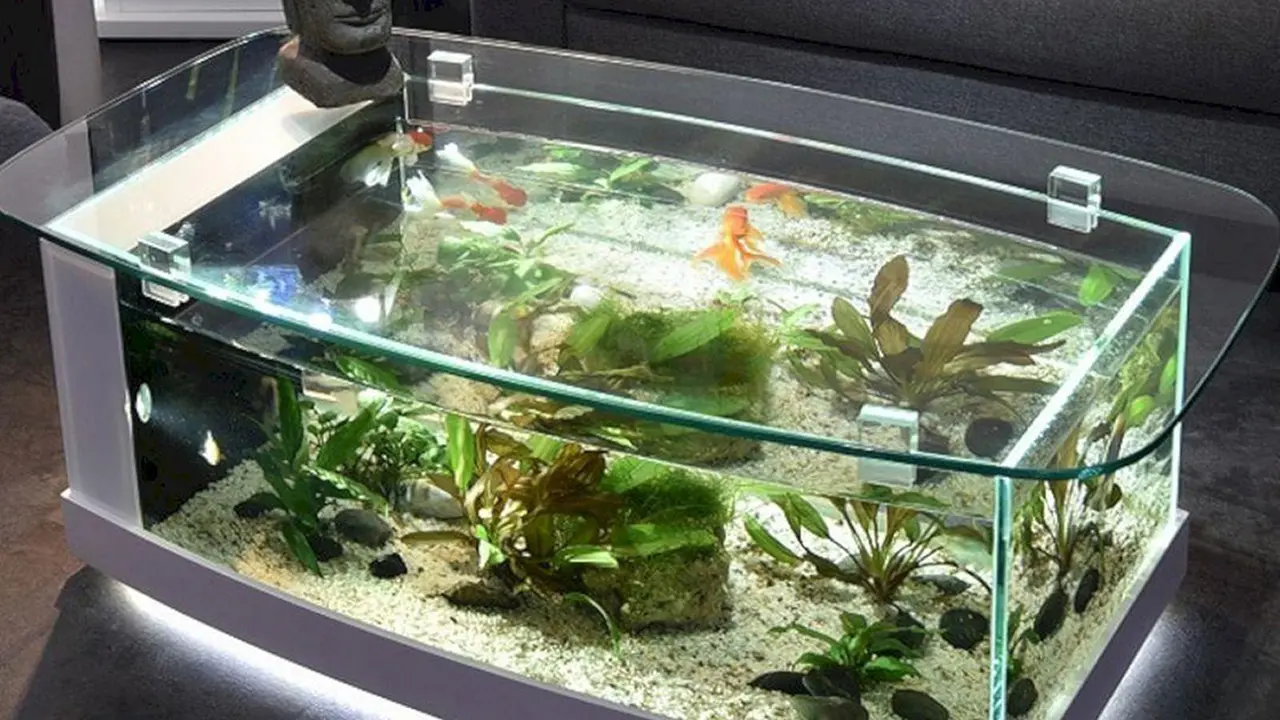 build aquarium top ideas