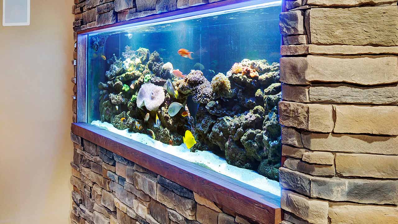 how to build an aquarium