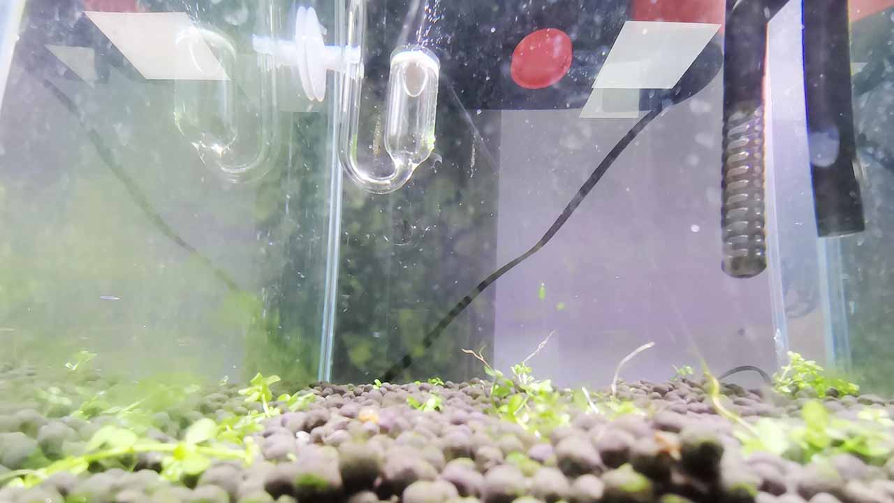 aquascape equipment setup