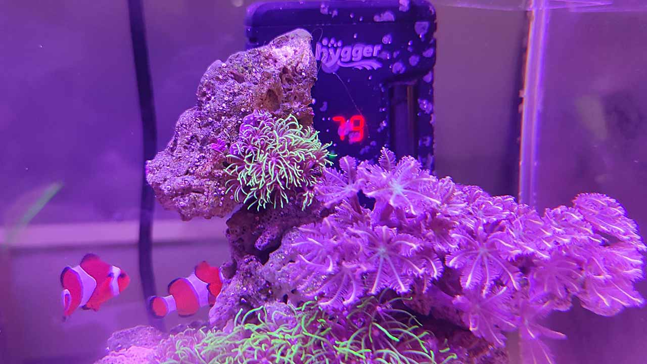 reef tank aquascape equipment