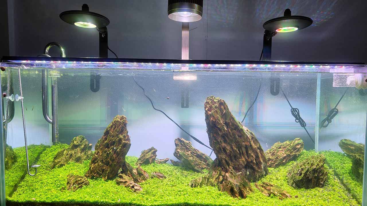 Aquarium equipment online deals