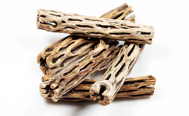 Cholla wood