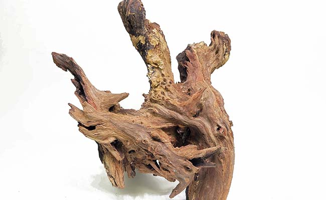 Malaysian driftwood
