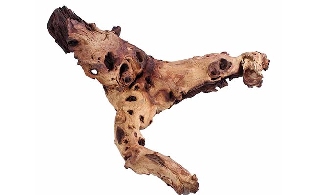 Mopani wood