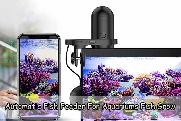 Automatic Fish Feeder For Aquariums Fish Grow