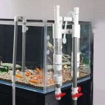 Fish waste sedimentation chambers