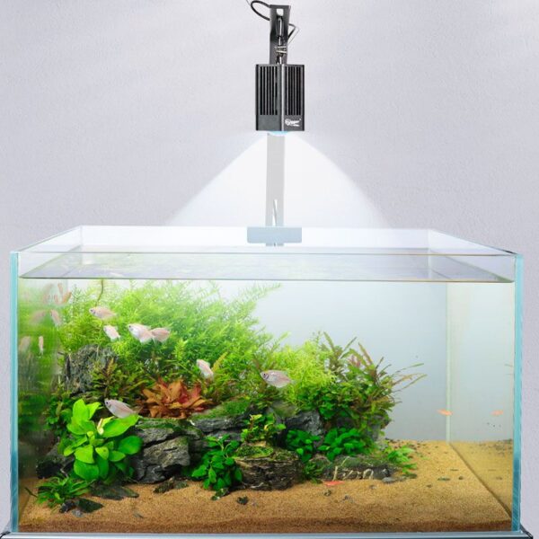 Ideal lighting for plants