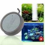 Freshwater fish tank bubbler
