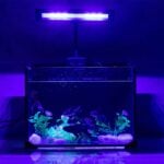 21W clip LED light for 10–30 gallons