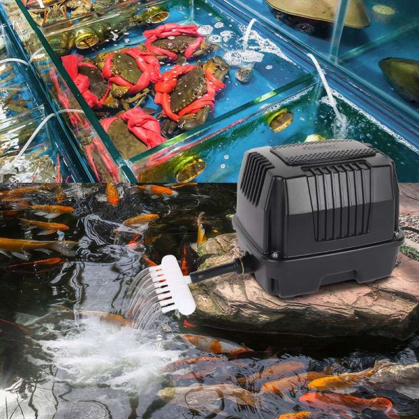 High flow air pump application