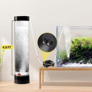 Dual outlet air pump