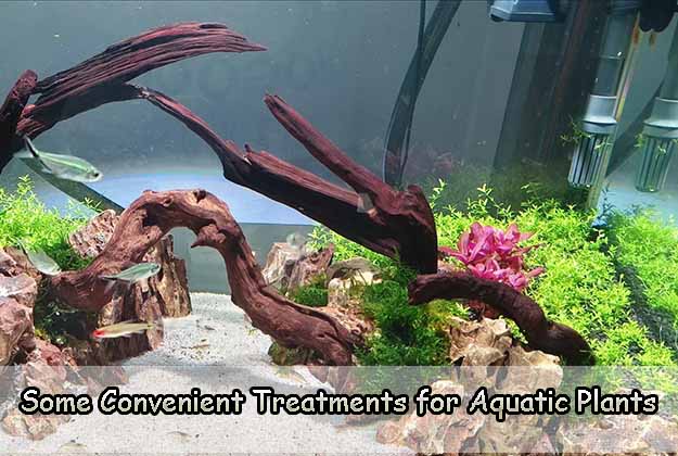 Some Convenient Treatments for Aquatic Plants