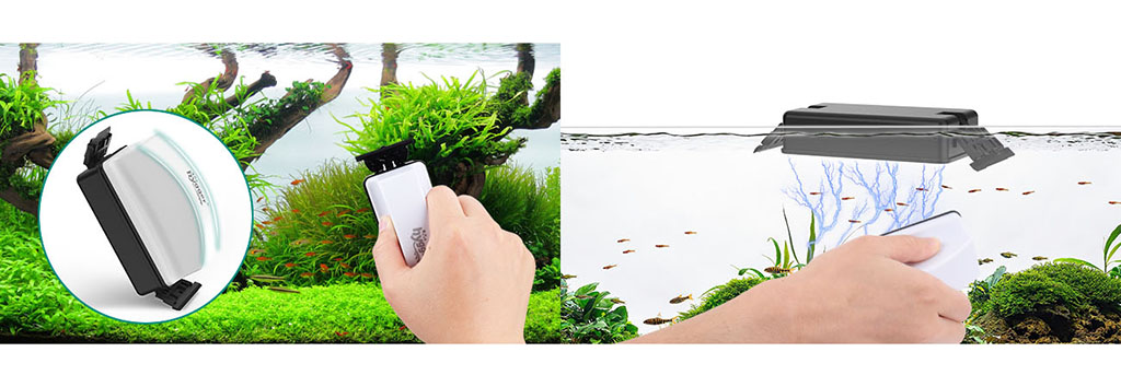 cleaning aquarium glass