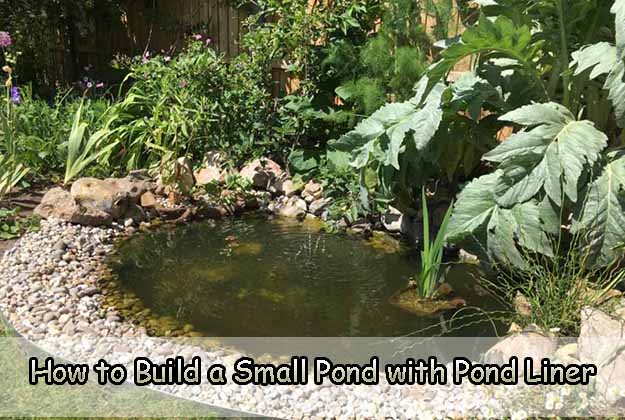 How to Build a Small Pond with Pond Liner