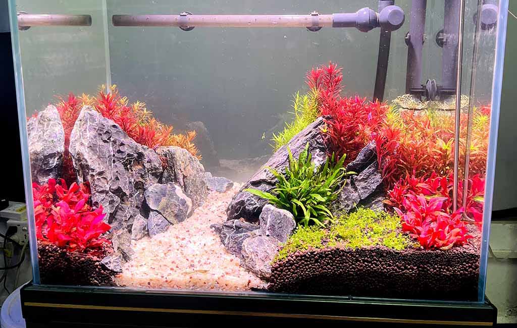 best place to put an aquarium