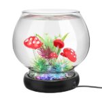 hygger Mini Glass Fish Bowl