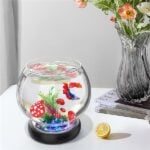 Glass fish bowl kit
