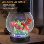 Fish bowl with LED light