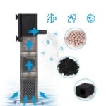 Fish tank stage filtration