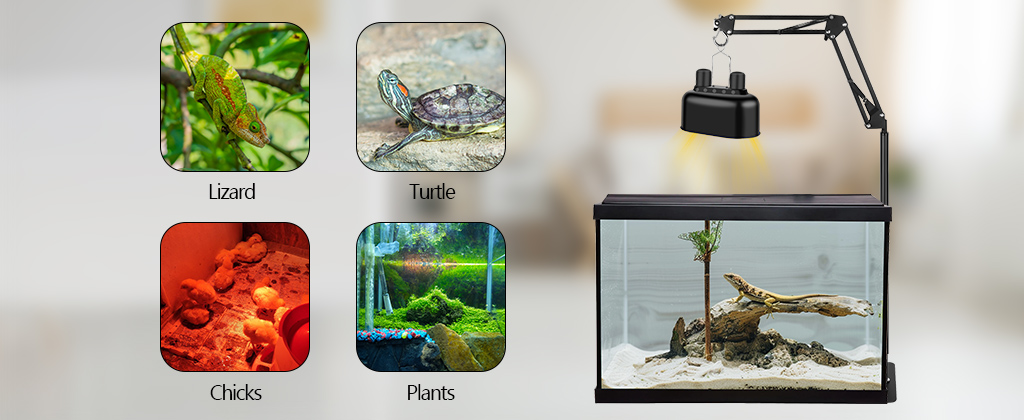 Reptile Light Bracket Application