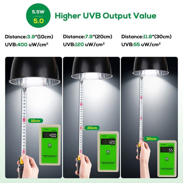 Reptiles UVB light 5.5W