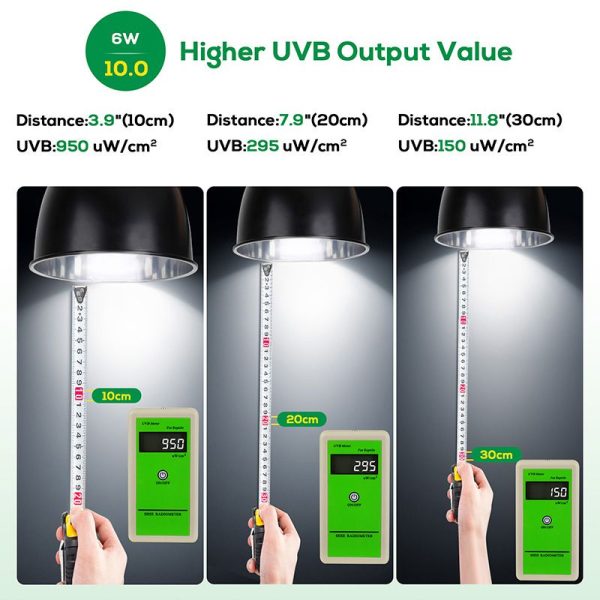 Reptiles UVB light 6W