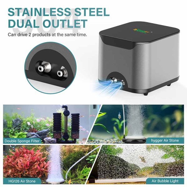 Dual outlet air pump for filters