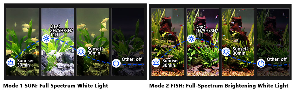 Simple aquarium lighting modes