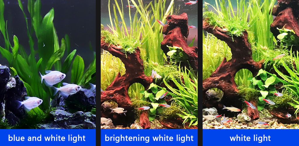 Simple aquarium lighting set