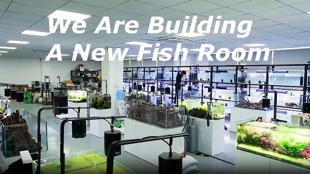 hygger fish room