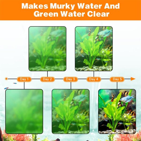 Make green water clear
