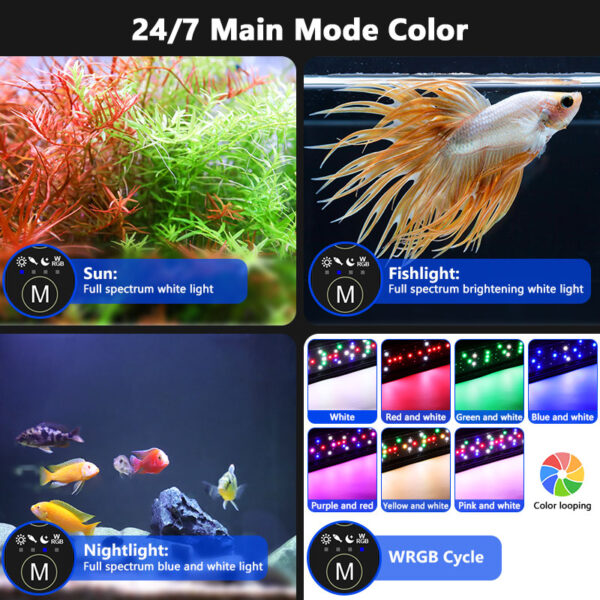 Simple 24/7 light color