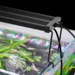 Full spectrum simple light for aquariums