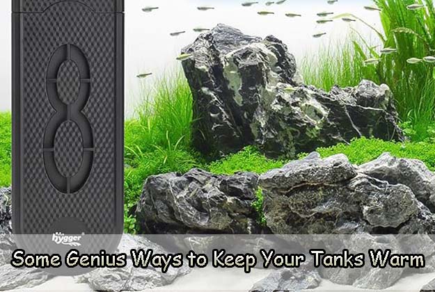 Some Genius Ways to Keep Your Tanks Warm