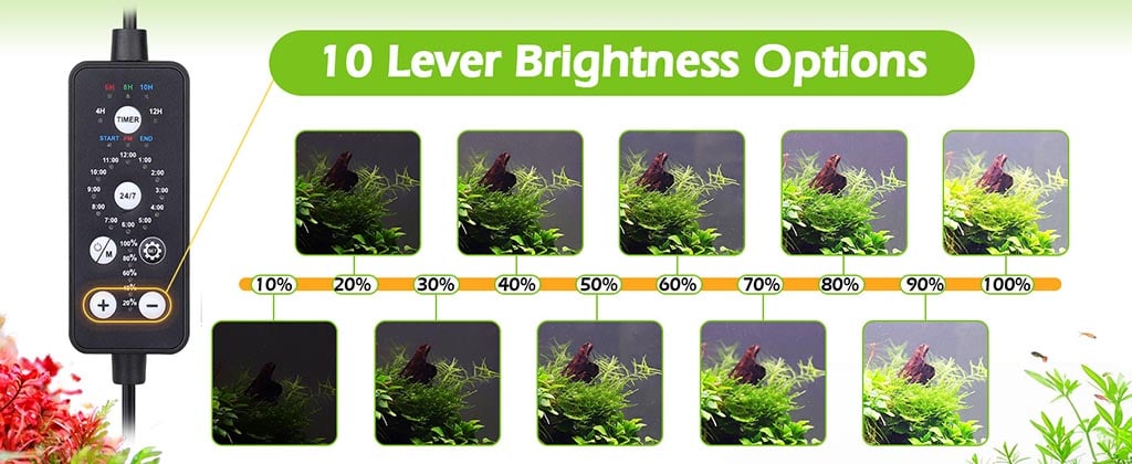 10 light brightness setting