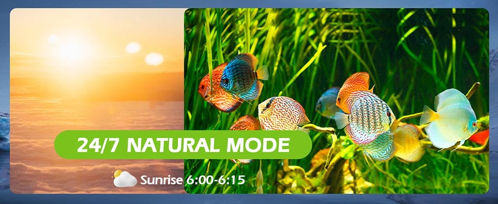 aquarium light 24/7 natural mode