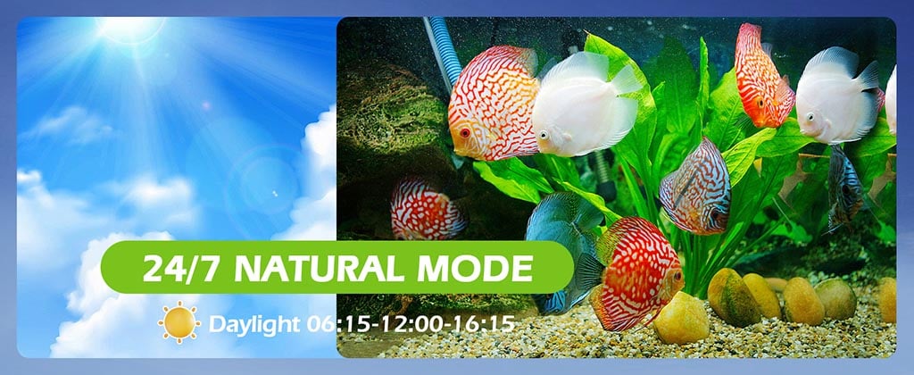 aquarium light 24/7 natural mode