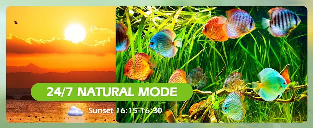 aquarium light 24/7 natural mode
