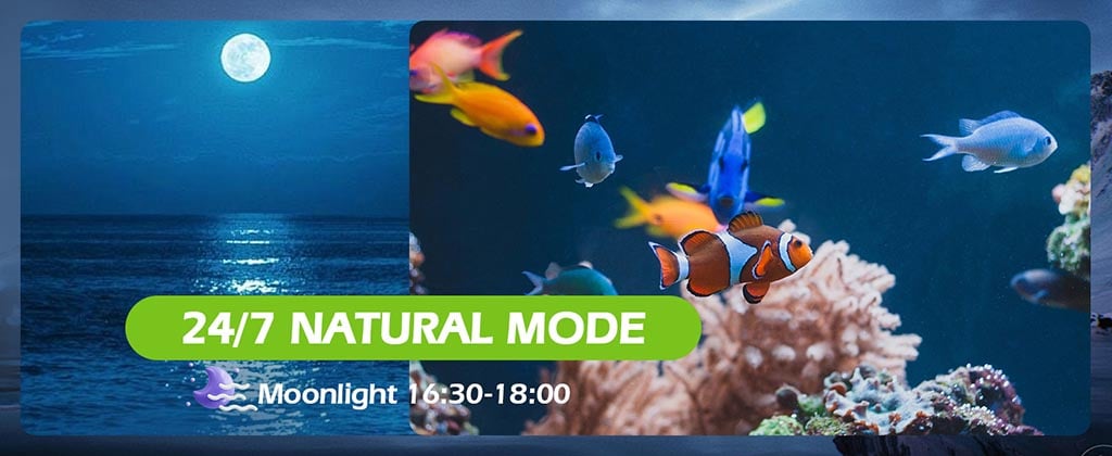 aquarium light 24/7 natural mode