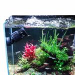 Cylindrical Wave Maker For Freshwater and Saltwater