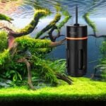 Clean green water for fish tanks