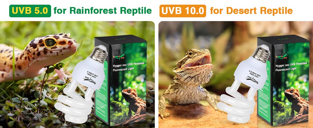 fluorescent light for reptiles