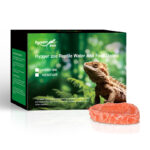 Easy to clean reptile food dishes