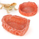 Reptile food dishes