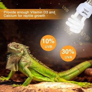 UVB threaded light for reptile growth