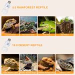 For rainforest reptile and desert reptile
