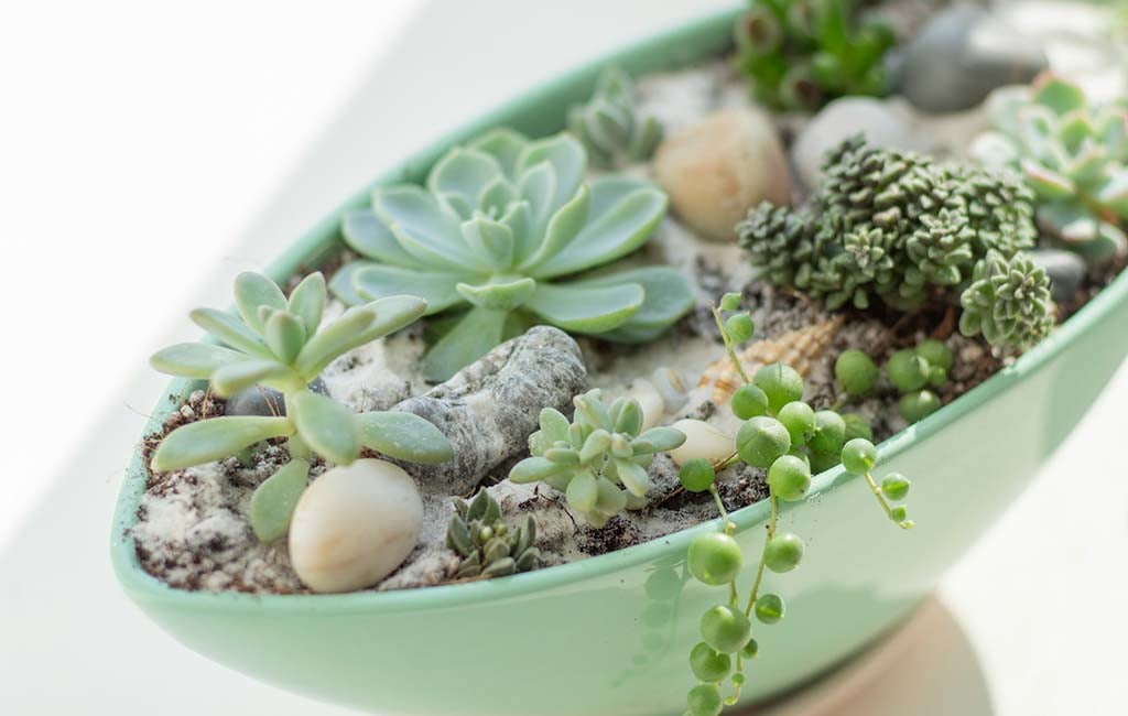 micro landscape