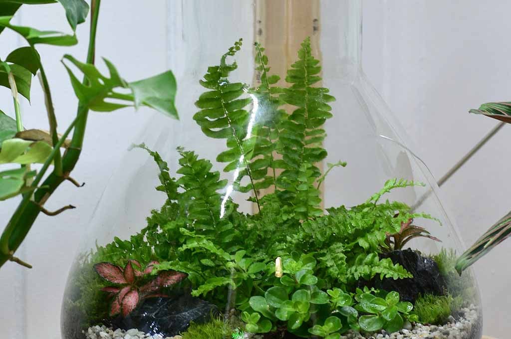 micro ecological landscape