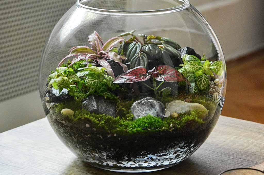 build a micro landscape